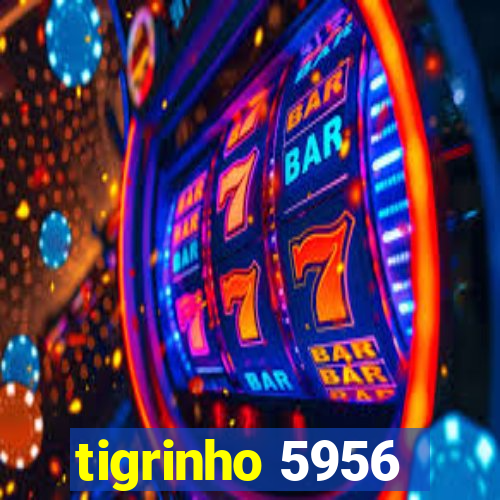 tigrinho 5956